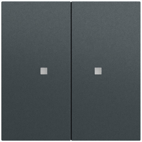 Gira Taster Wippe 2-fach OneKNX System 70 517373 Gira Taster Wippe 2-fach OneKNX System 70 517373