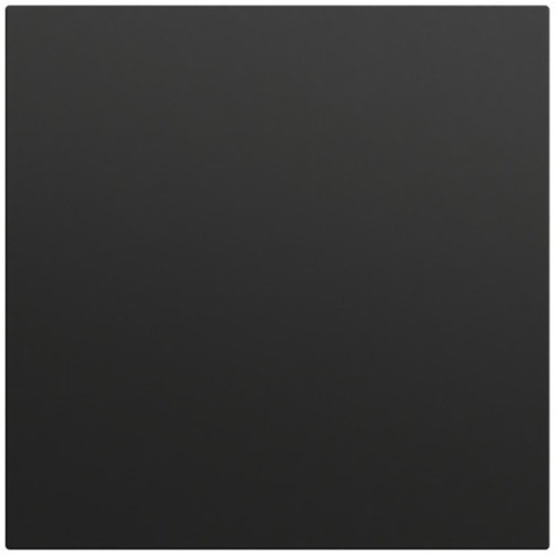 Gira Wippe 1-fach unbedruckt System 70 Schwarz m(lack.) 537274 Gira Wippe 1-fach unbedruckt System 70 Schwarz m(lack.) 537274