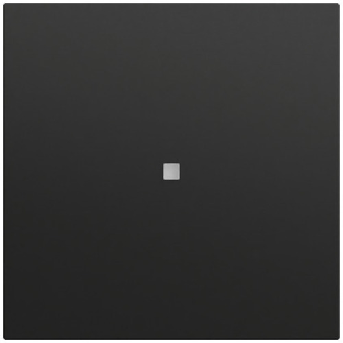 Gira Wippe 1-fach unbedruckt Kontrollf. System 70 537174 Gira Wippe 1-fach unbedruckt Kontrollf. System 70 537174