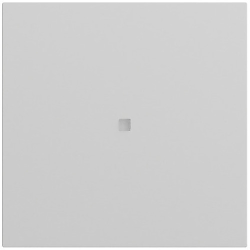 Gira Wippe 1-fach unbedruckt Kontrollf. System 70 537176 Gira Wippe 1-fach unbedruckt Kontrollf. System 70 537176