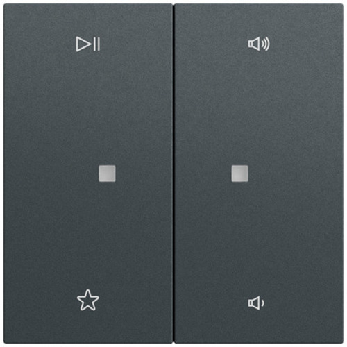 Gira Wippe 2-fach Audiostrg System 70 Anthrazit(lack.) 538473 Gira Wippe 2-fach Audiostrg System 70 Anthrazit(lack.) 538473