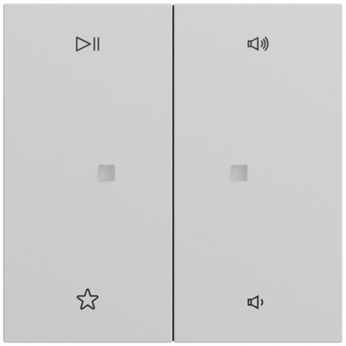 Gira Wippe 2-fach Audiostrg System 70 Grau m(lack.) 538476 Gira Wippe 2-fach Audiostrg System 70 Grau m(lack.) 538476