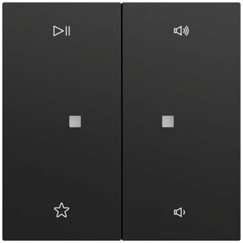 Gira Wippe 2-fach Audiostrg System 70 Schwarz m(lack.) 538474 Gira Wippe 2-fach Audiostrg System 70 Schwarz m(lack.) 538474