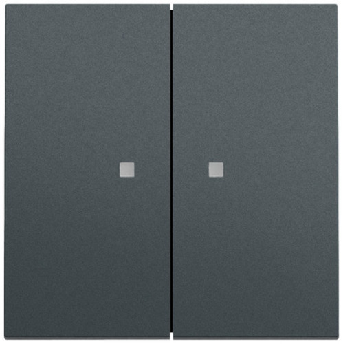 Gira Wippe 2-fach Kontrollf. System 70 Anthrazit(lack.) 363173 Gira Wippe 2-fach Kontrollf. System 70 Anthrazit(lack.) 363173
