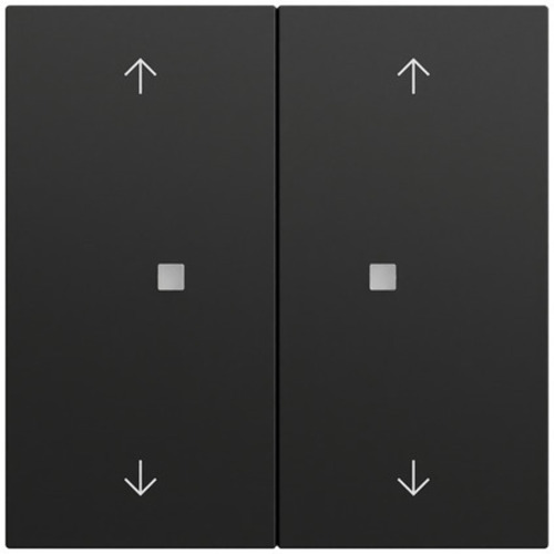 Gira Wippe 2-fach Pfeile Kontrollf. System 70 Schwarz 538674 Gira Wippe 2-fach Pfeile Kontrollf. System 70 Schwarz 538674