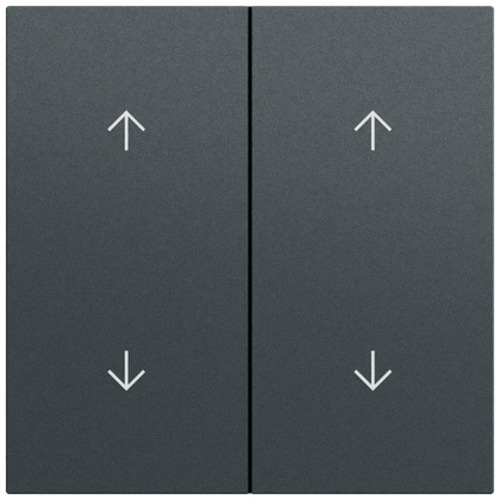 Gira Wippe 2-fach Pfeile System 70 Anthrazit(lack.) 329773 Gira Wippe 2-fach Pfeile System 70 Anthrazit(lack.) 329773