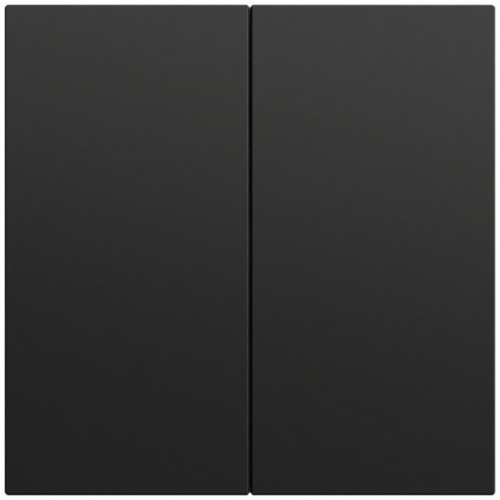 Gira Wippe 2-fach unbedruckt System 70 Schwarz m(lack.) 537074 Gira Wippe 2-fach unbedruckt System 70 Schwarz m(lack.) 537074