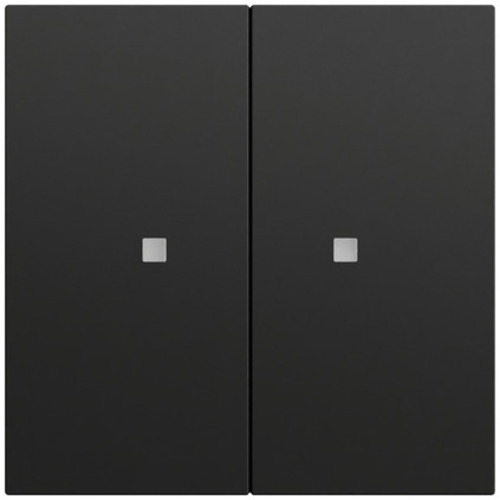 Gira Wippe 2-fach unbedruckt Kontrollf. System 70 536974 Gira Wippe 2-fach unbedruckt Kontrollf. System 70 536974