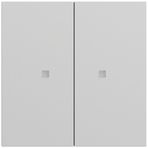 Gira Wippe 2-fach unbedruckt Kontrollf. System 70 536976 Gira Wippe 2-fach unbedruckt Kontrollf. System 70 536976