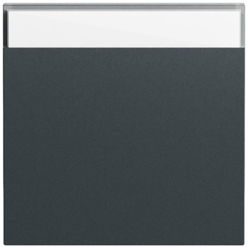 Gira Wippe BSF System 70 Anthrazit(lack.) 329973 Gira Wippe BSF System 70 Anthrazit(lack.) 329973