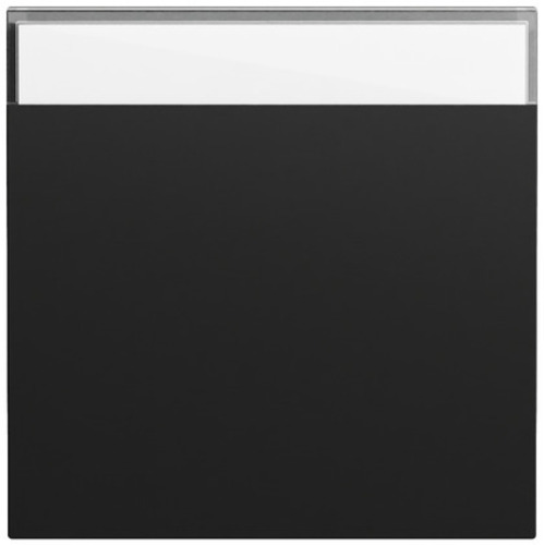 Gira Wippe BSF System 70 Schwarz m(lack.) 329974 Gira Wippe BSF System 70 Schwarz m(lack.) 329974