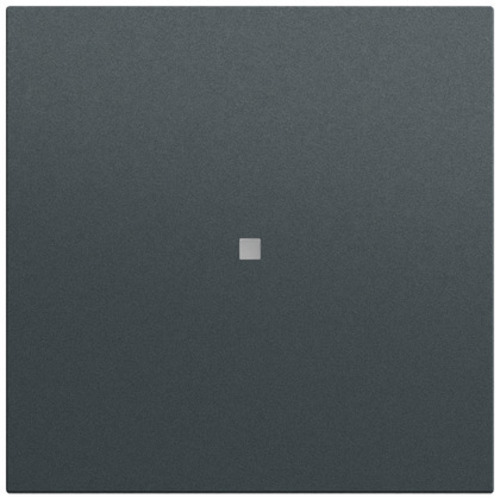 Gira Wippe gerade Kontrollf. System 70 349073 Gira Wippe gerade Kontrollf. System 70 349073