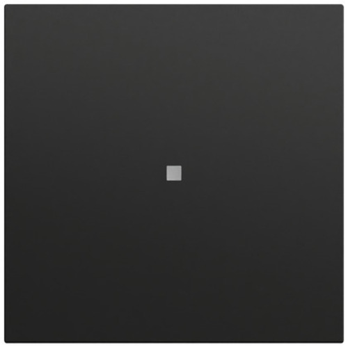 Gira Wippe gerade Kontrollf. System 70 Schwarz 349074 Gira Wippe gerade Kontrollf. System 70 Schwarz 349074
