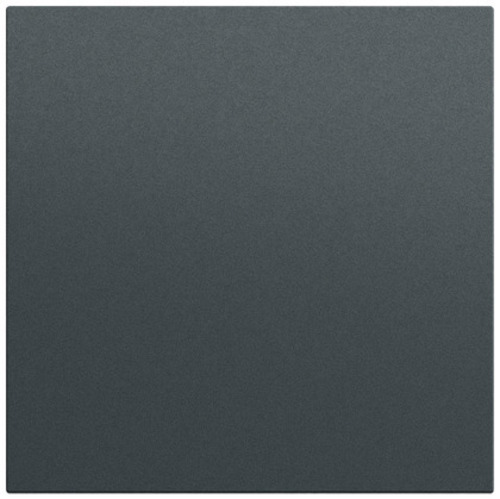 Gira Wippe gerade System 70 Anthrazit(lack.) 349673 Gira Wippe gerade System 70 Anthrazit(lack.) 349673