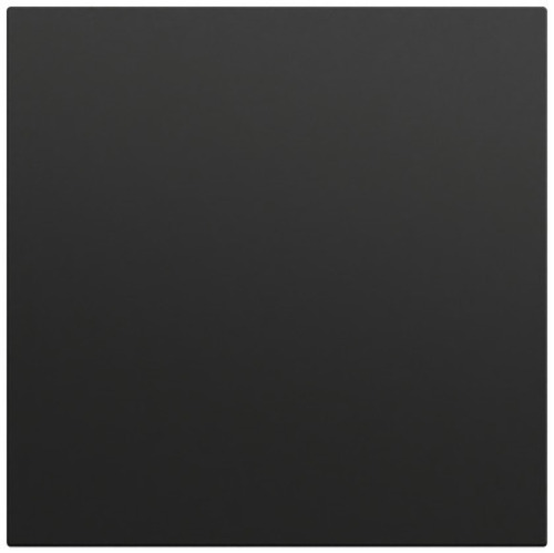 Gira Wippe gerade System 70 Schwarz m(lack.) 349674 Gira Wippe gerade System 70 Schwarz m(lack.) 349674