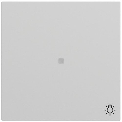Gira Wippe Kontrollf. + Symb. Licht System 70 Grau 367476
