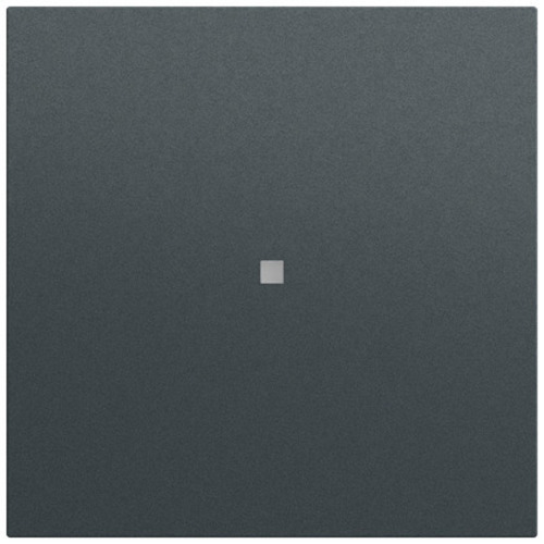 Gira Wippe Kontrollf. System 70 Anthrazit(lack.) 329073 Gira Wippe Kontrollf. System 70 Anthrazit(lack.) 329073