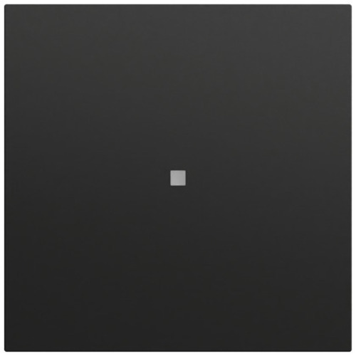 Gira Wippe Kontrollf. System 70 Schwarz m(lack.) 329074 Gira Wippe Kontrollf. System 70 Schwarz m(lack.) 329074