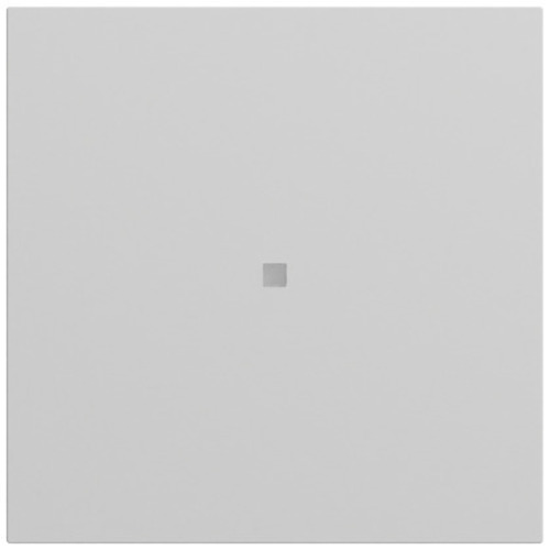 Gira Wippe Kontrollf. System 70 Grau m(lack.) 329076 Gira Wippe Kontrollf. System 70 Grau m(lack.) 329076
