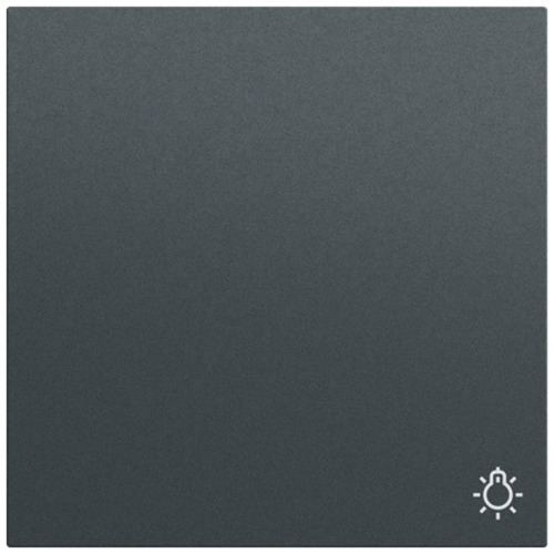 Gira Wippe Symb. Licht System 70 Anthrazit(lack.) 328573 Gira Wippe Symb. Licht System 70 Anthrazit(lack.) 328573