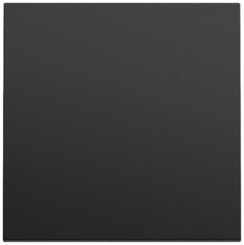 Gira Wippe System 70 Schwarz m(lack.) 329674 Gira Wippe System 70 Schwarz m(lack.) 329674