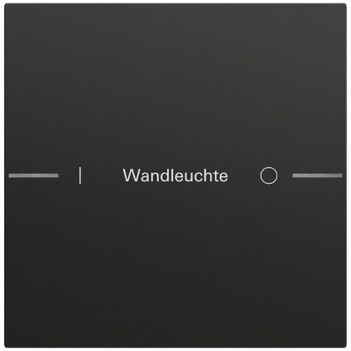 Gira Wippenset 1-fach indiv. Tastsens.4.70 576174 Gira Wippenset 1-fach indiv. Tastsens.4.70 576174