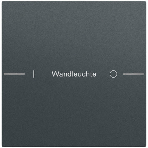 Gira Wippenset 1-fach indiv. Tastsens.4.70 576173 Gira Wippenset 1-fach indiv. Tastsens.4.70 576173