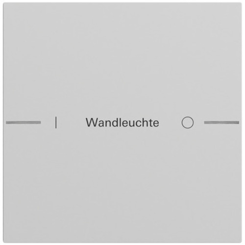 Gira Wippenset 1-fach indiv. Tastsens.4.70 Grau 576176 Gira Wippenset 1-fach indiv. Tastsens.4.70 Grau 576176