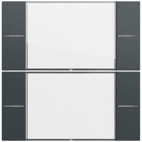 Gira Wippenset 2-fach BSF Tastsens.4.70 577273 Gira Wippenset 2-fach BSF Tastsens.4.70 577273