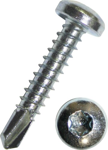 Dresselhaus Bohrschraube m.Linsenkopf + Innen-6-Rund, I-25 6054/001/01 4,8x19