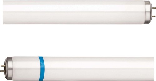 Philips Lighting Leuchtstofflampe 15W/10 Secura 1SL/25 Actinic BL #89858640 Philips Lighting Leuchtstofflampe 15W/10 Secura 1SL/25 Actinic BL #89858640