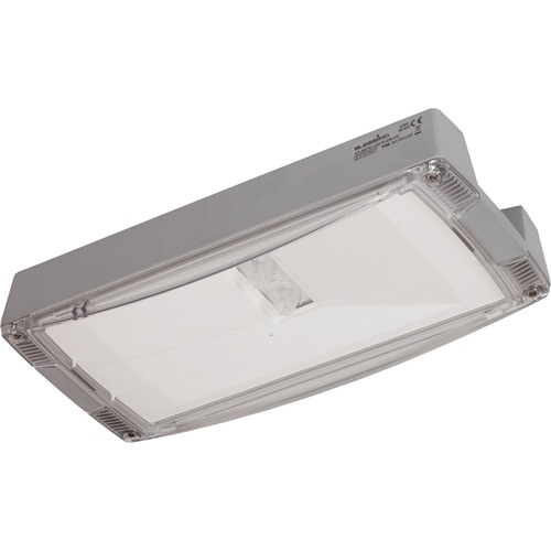 Ceag Notlichtsysteme Sicherheitsleuchte m.symetr.Optik,IP65 LED O CG-S