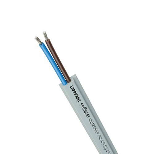 Lapp Kabel&Leitung UNITRONIC BUS ASI LD (G) GY 2X2.5 21700373/500
