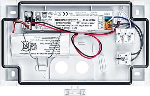 Zumtobel Group Sicherheitszeichenleuchte PURESIGN #42186028