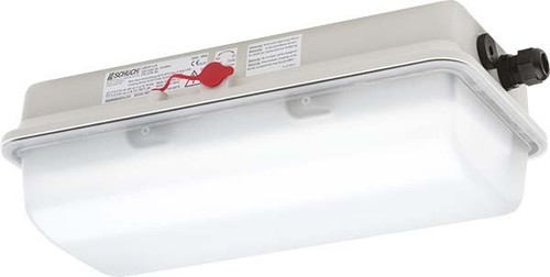 Schuch Licht LED-Ex-Notleuchte IP66, SK I e856F L10/3/2,5