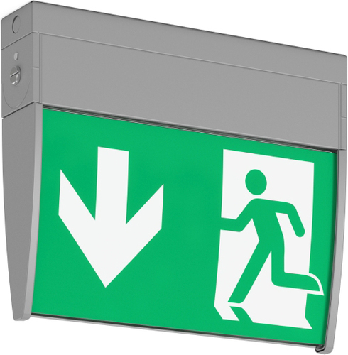 RZB LED-Notleuchte DALI 672219.004.1.07 RZB LED-Notleuchte DALI 672219.004.1.07