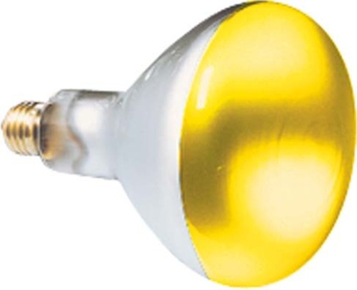 Scharnberger+Hasenbein Reflektorlampe 80x110mm R80 E27 230V 60W ge 41626