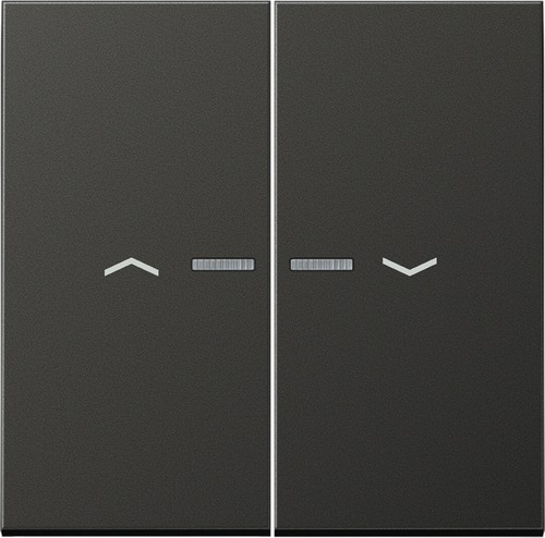 Jung Wippe Symbole/Lichtl.anth für Taster AL 2995 KO5P AN