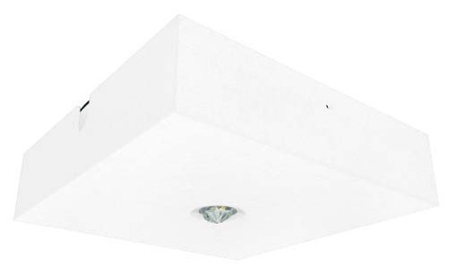 Fischer LED-Sicherheitsleuchte opt.Mesh/NB Add.on BQD319M