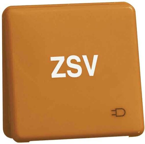 Peha Steckdose D80.6611K GLK OR ZSV