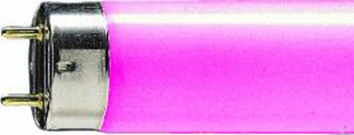 Scharnberger+Hasenbein Leuchtstofflampe T8 26x590 G13 18W pink 68000