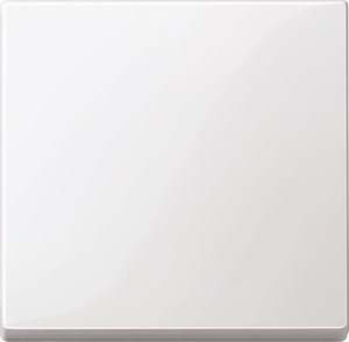 Merten Wippe pws/gl 432119