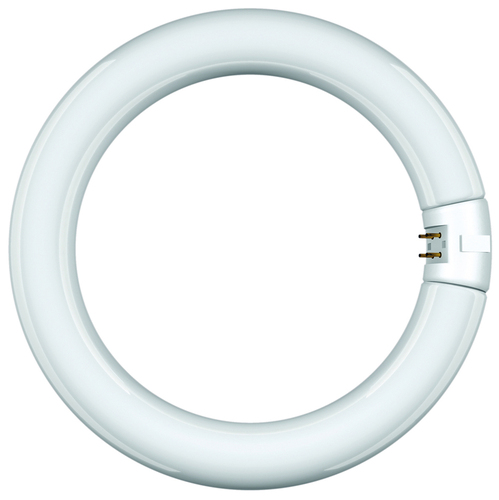 Scharnberger+Hasenbein Leuchtstofflampe Ringf. T9 29x216mm G10q 22W865 68817