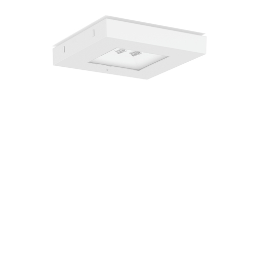RZB LED-Sicherheitsleuchte 765, ZB, weiß 672171.002.3