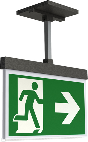 RP-Technik Rettungszeichenleuchte 3h, SC, Piktoset AMEP003SC RP-Technik Rettungszeichenleuchte 3h, SC, Piktoset AMEP003SC