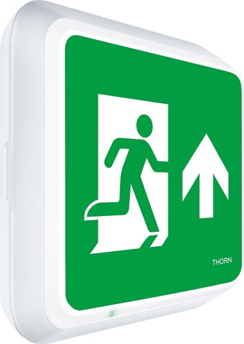 Thorn Rettungszeichenleuchte Voy Square #96635040