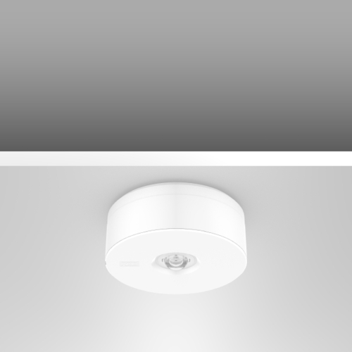 RZB LED-Sicherheitsleuchte ZB, AC-Control 672529.002.89