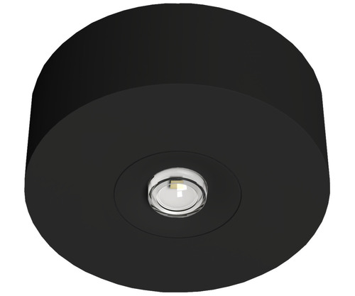 RP-Technik LED-Sicherheitsleuchte Decke, Linsen, rund EARL423WL-AZ