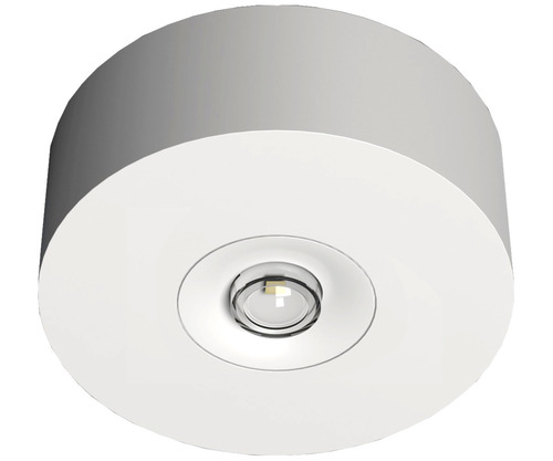 RP-Technik LED-Sicherheitsleuchte Decke, Linsen, rund EARL428WB