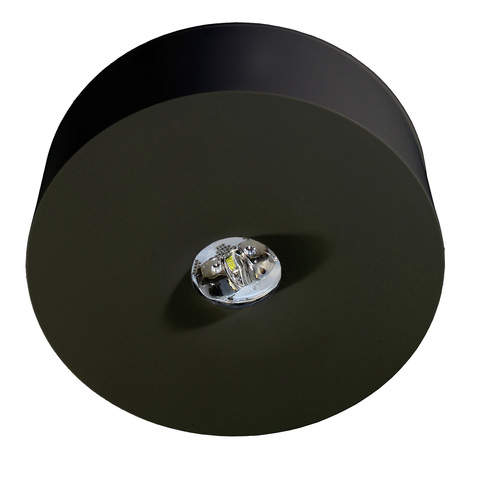 RP-Technik LED-Sicherheitsleuchte Decke, Linsensystem ILDL421SC-SW